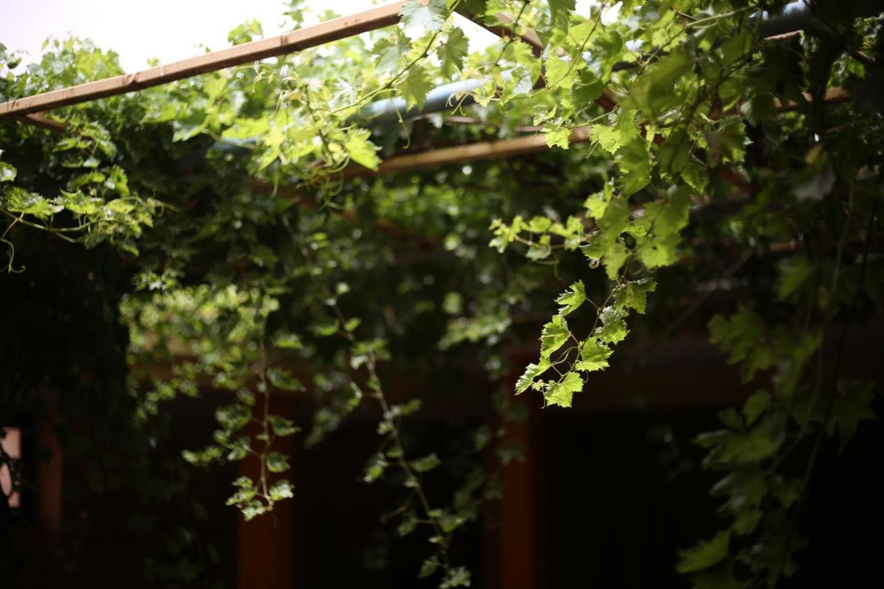 Auberge Jaafar Midelt Esterno foto
